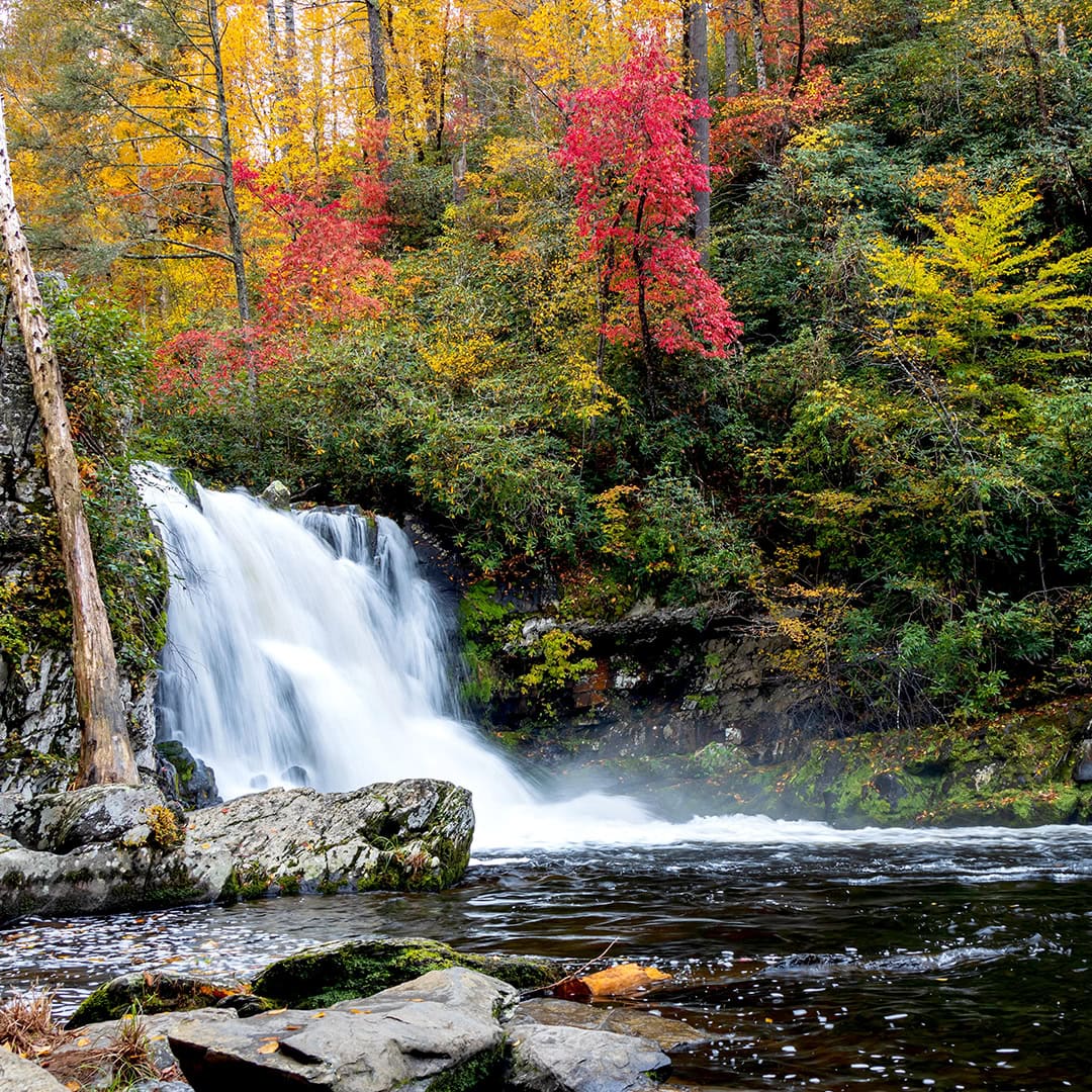 Image of a waterfall with red and yellow foliage in the background.