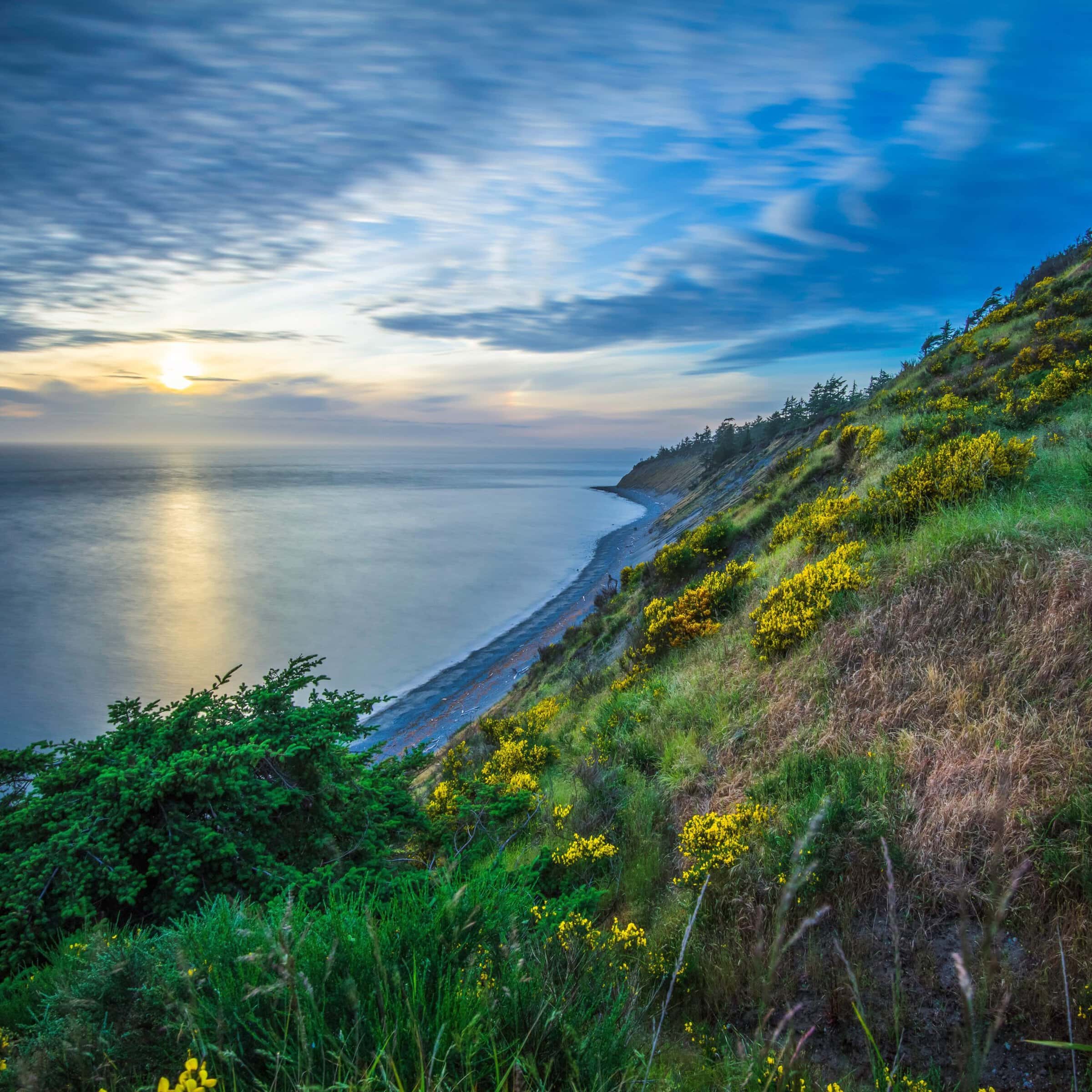 beach and ocean seen from lush green hills