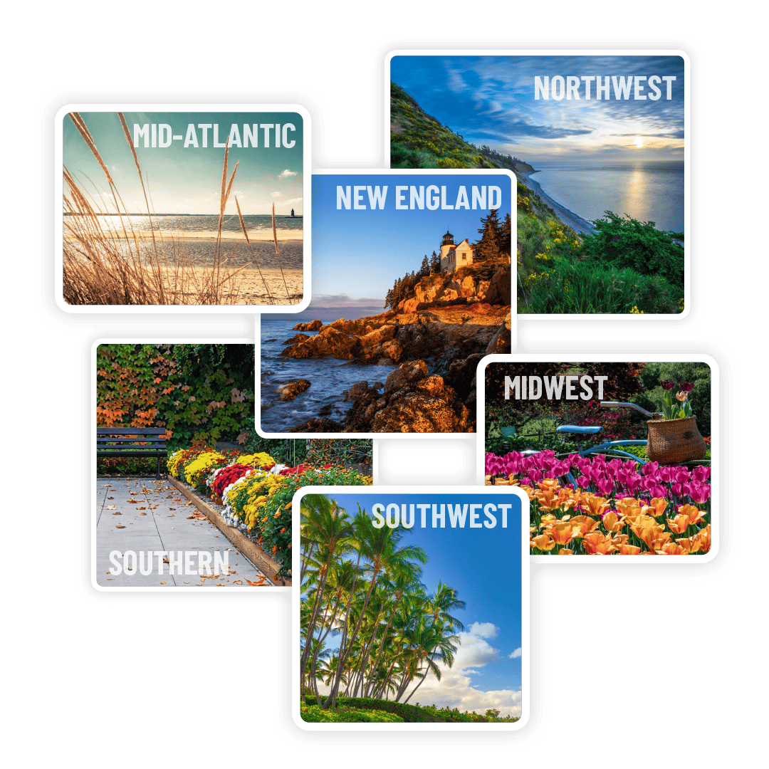 Collage photo representing each SGIM region