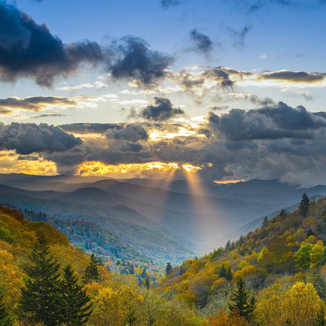 Image from above of a cloudy landscape and large alpine forest.