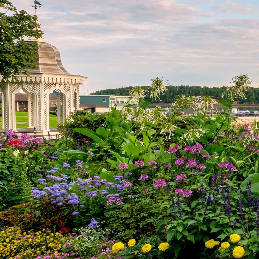 Image of a flower garden with a gazebo in the background.