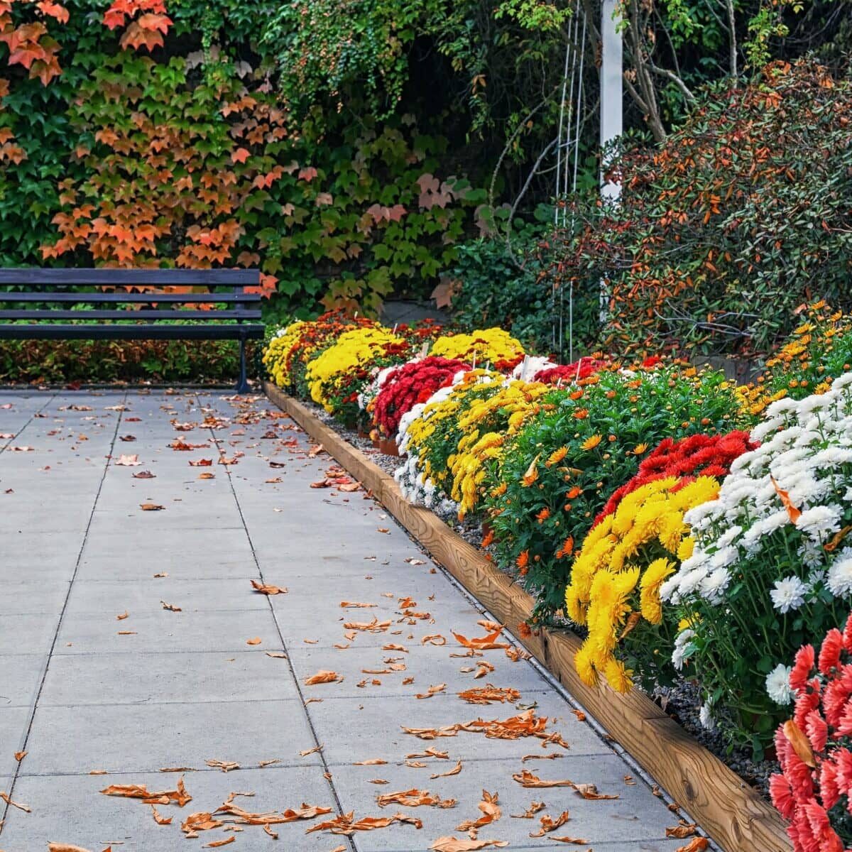 image of a park bench on a tiled walkway lined with colorful flowers