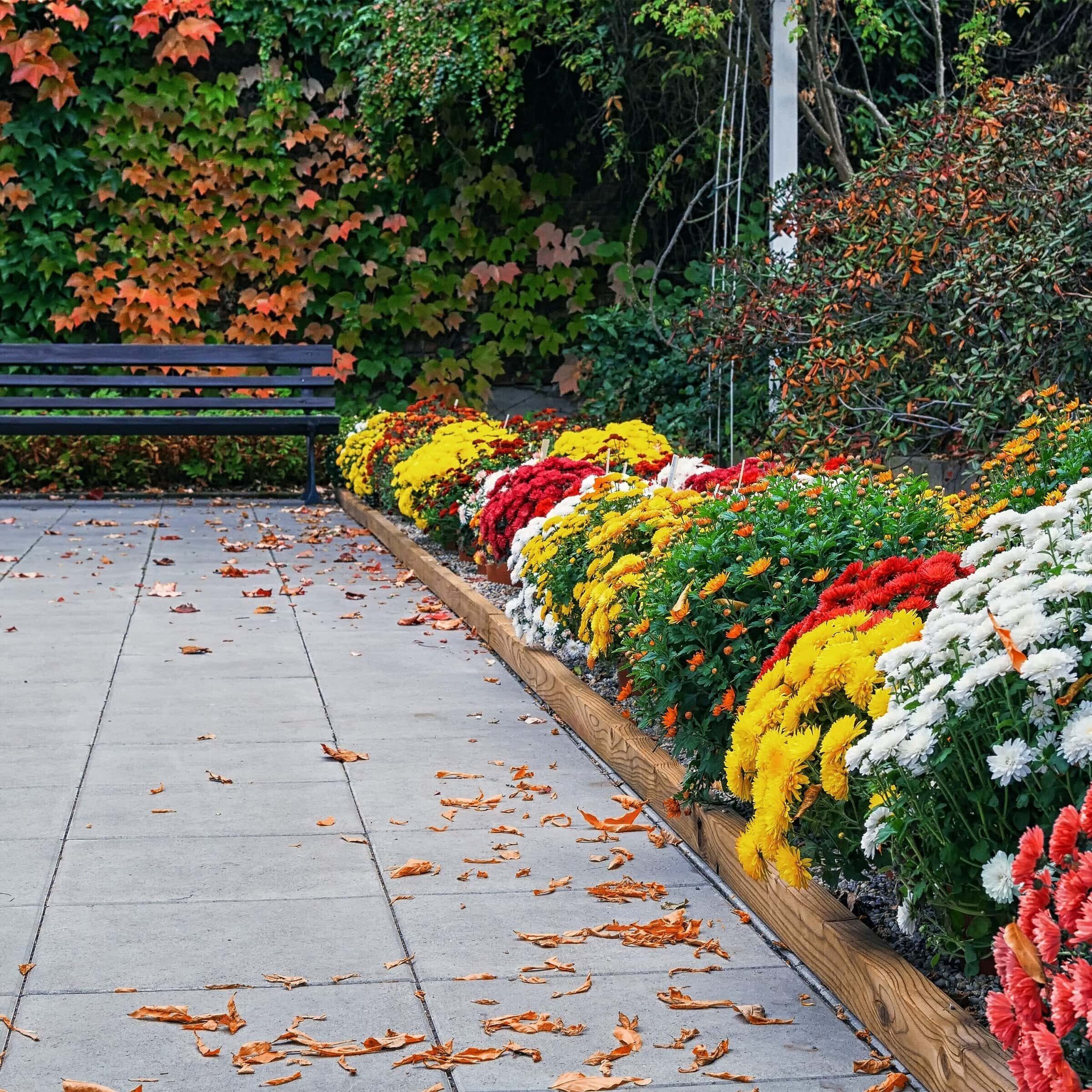 image of a park bench on a tiled walkway lined with colorful flowers