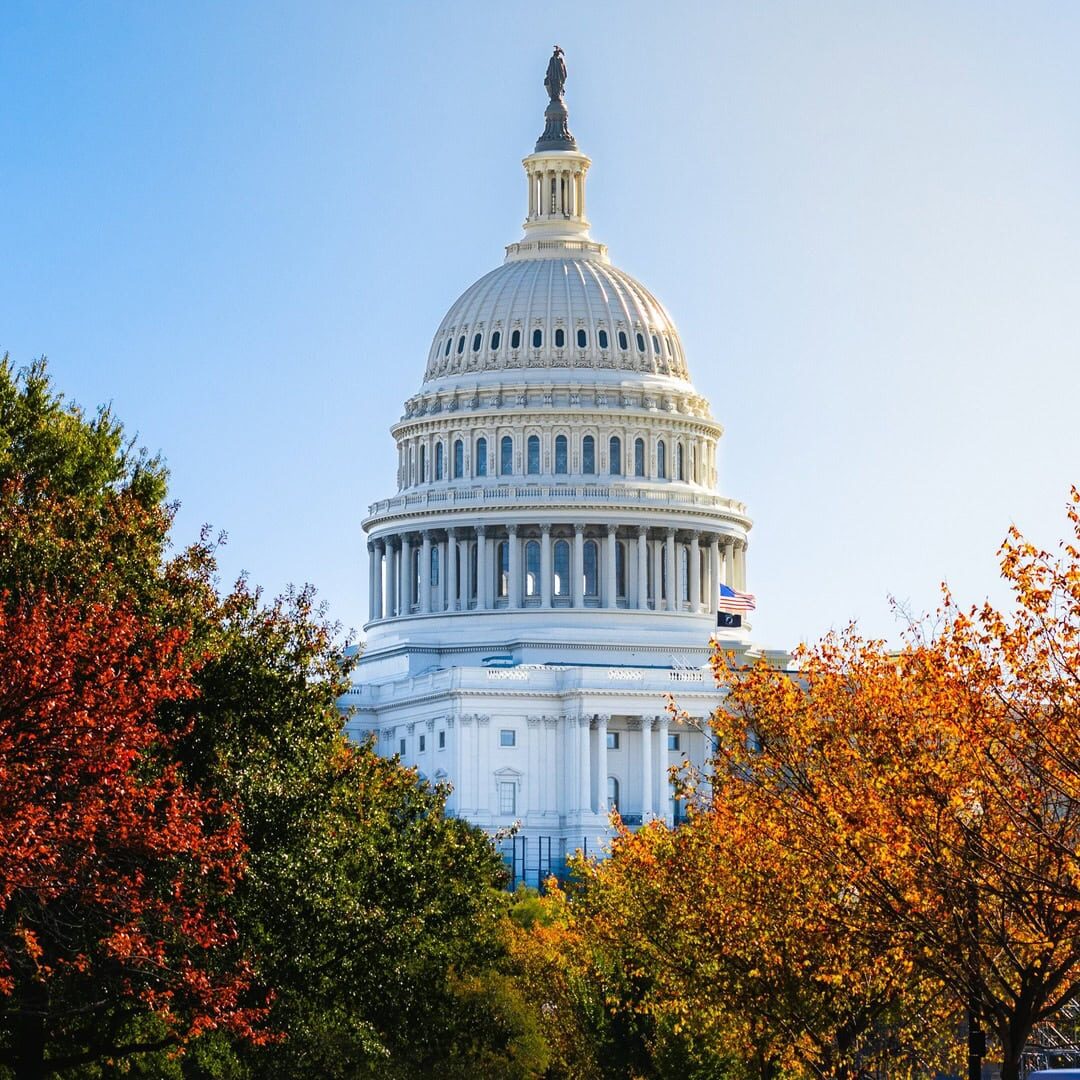 The US Capitol as viewed between fall trees.